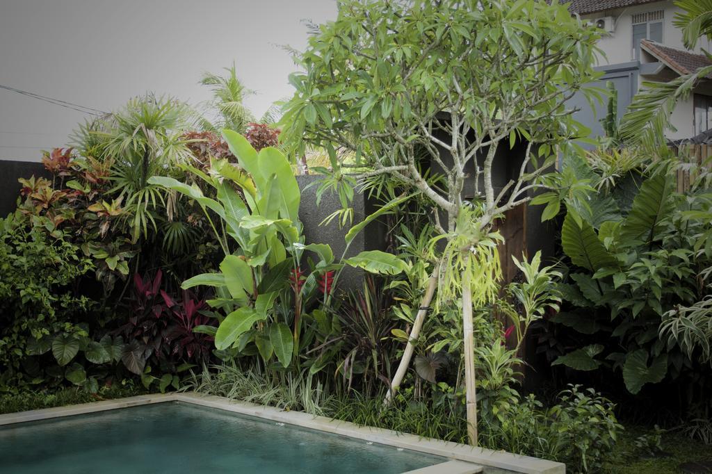 Dugul Ubud Camera foto