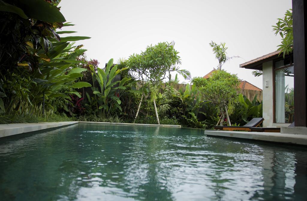 Dugul Ubud Camera foto