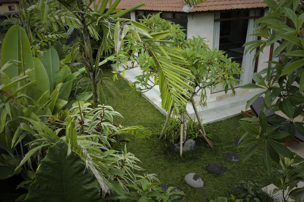 Dugul Ubud Camera foto